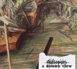 Audiopain : A Bomb's View Audiopain : A Bomb's View